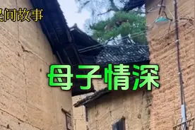 苦难的生活，深沉的母爱 ，就是这个故事给我们的启示视频封面