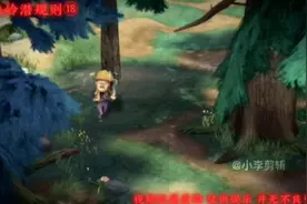 狗熊岭规则