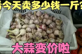 山东大蒜变价啦，看今天早市大蒜卖多少钱一斤？看完你觉得贵吗？视频封面
