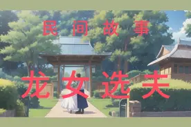 龙女选夫视频封面