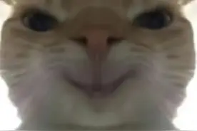 地铁逃生鼠鼠表情包视频封面