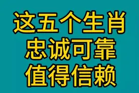 这五个生肖忠诚可靠，值得信赖视频封面