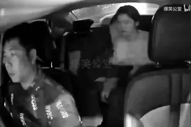 春天来临，动物们迎来交配季节，自然界的奇妙时刻！视频封面