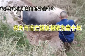 十年相依为命，农夫与流亡姐妹的感人故事视频封面