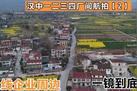 观油菜花海讲述汉中三线企业故事，寓教于乐，曾经的一二三四厂视频封面