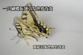 蝴蝶振翅背后的巨大力量：揭秘蝴蝶效应如何改变世界
