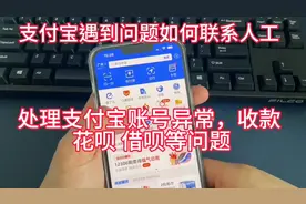 .（支付宝开通商家功能/问题）直接咨询支付宝人工电话服务