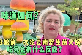 外国丈母娘第一次吃云南野生菌火锅，味道如何？吃完会有什么反应视频封面