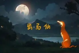 东北五大仙家——狐黄白柳灰