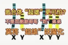 嵌合体“超雄”无异于正常男性，是受精卵分裂时部分细胞Y不分离