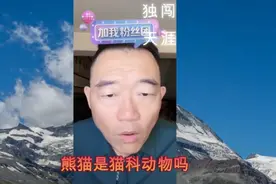 熊猫是熊科还是猫科？老师就这么教的，爱咋咋地[呲牙]#德云郑好视频封面
