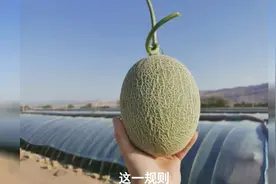 康熙帝叫错一水果名，后人也跟着念错300年，至今没有改过来视频封面