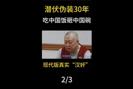 一个现实版“汉奸”如何潜伏伪装30年，吃中国饭砸中国碗？！2视频封面