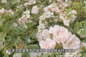 生来就是富贵命的星座榜，顺风顺水财运亨通，看看你有你吗？视频封面