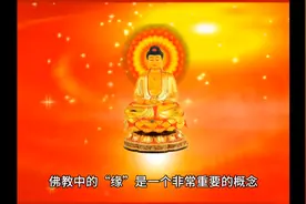 缘分天注定，何为“缘”真的太重要了……