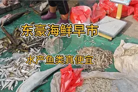 实拍石家庄东豪海鲜早市，小鱼小虾都抢着买，看看这价格行不行？