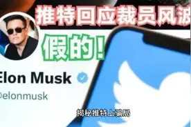 揭秘推特上骗局视频封面