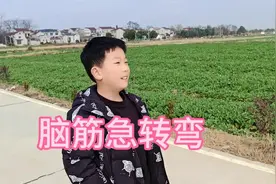 鹌鹑下的蛋是什么蛋