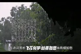 古诗赏析：飞花似梦，丝雨细如愁。视频封面