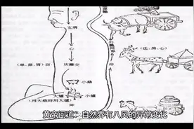 《黄帝内经》图解：人体与自然界的奇妙联系视频封面