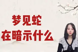 梦见蛇的暗示，揭开梦境背后的秘密！视频封面