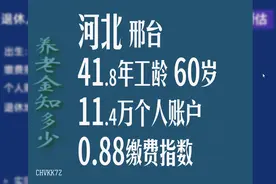 河北邢台养老金知多少：11.4万人账户，0.88缴费指数视频封面