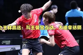 双标之王林高远：与王曼昱互动，大迪拿话筒视频封面