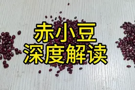 赤小豆 深度解读 教你一些你能用到的知识