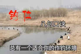 找钓位，记住这八句口诀，总有一个适合你的作钓环境视频封面
