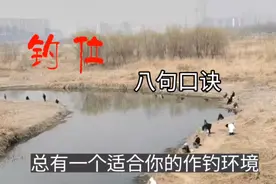 找钓位，记住这八句口诀，总有一个适合你的作钓环境视频封面