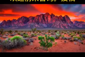 资金盘曝光。欢迎大家前来投稿视频封面