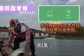 用2000豆挑战黑坑盘老板看能赚多少@天元邓刚 @吴亚钓鱼视频封面