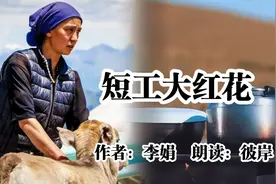 大红花是李娟家雇的短工，她身材高大性格豪放，干起活来一个顶俩视频封面