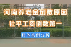 河南养老金倒数原因，社平工资倒数第一，具体案例分析视频封面