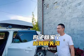 迷路的小狗回家了，尼泊尔老婆有一点失落，珍惜世间所有的遇见吧视频封面