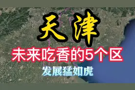 天津未来发展猛如虎的五个区视频封面