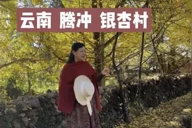 12月3日实拍云南腾冲银杏村，一个滇西边陲小镇，美景让人陶醉。视频封面
