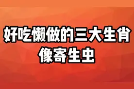 好吃懒做的三大生肖，像寄生虫，过于依赖他人视频封面