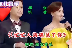杨帆张蕾演唱，《茫茫人海遇见了你》声情并茂，震撼人心视频封面