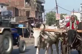 西班牙夫妇在印度摩托旅行，被七名印度男子施暴！视频封面