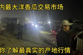 产地5.6块一斤的瓜，到你手里要多少？看山东洋香瓜产地动态视频封面