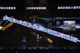 deepseek分析:小米SU7稳居汽车销售第一。