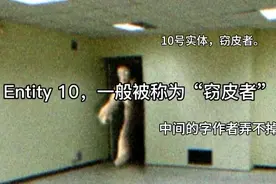 窃皮者“它”讲解来了！视频封面