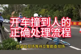开车不小心撞到人了，该怎么正确处理？
