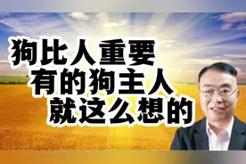 狗比人重要，有的狗主人就是这么想的，建议严管遛狗不拴绳