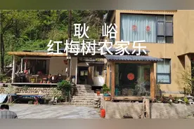 秦岭耿峪红梅树农家乐。视频封面