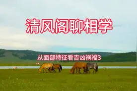 清风阁聊相学  如何从鬓发的特征看吉凶祸福视频封面