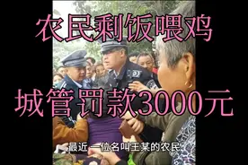 农民剩饭喂鸡被城管罚款3000元！城管回应：这要办证！视频封面