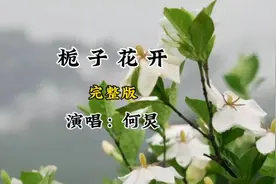 何炅《栀子花开》，音乐一响，青春的记忆瞬间回来了视频封面