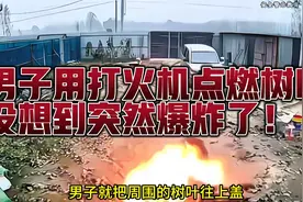 男子用打火机点燃树叶，没想到突然爆炸了！视频封面